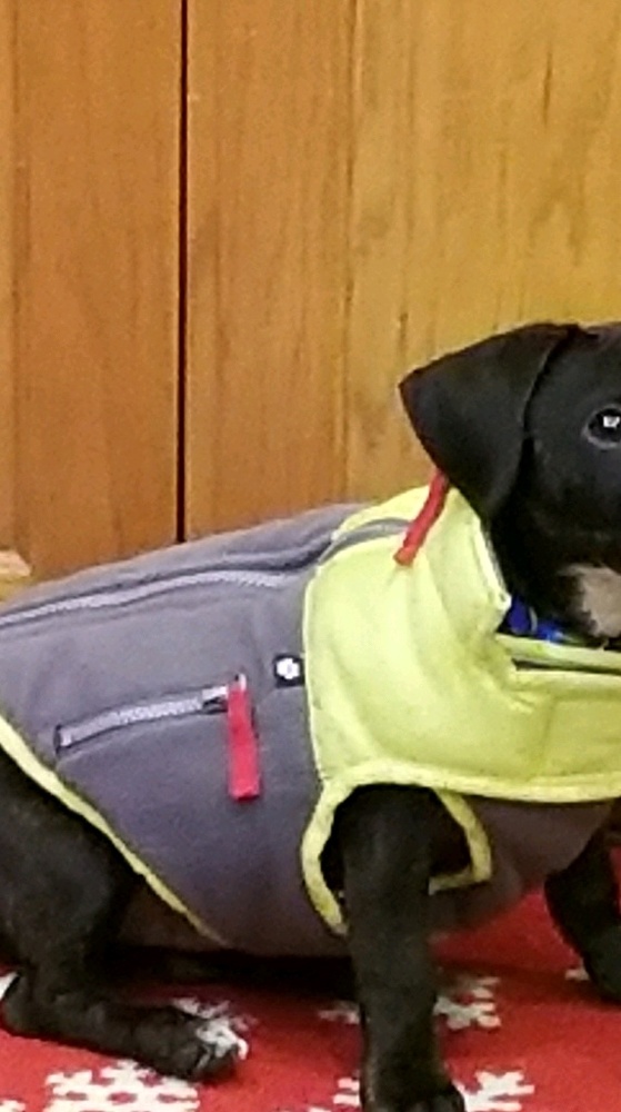 Meet your Posher, Emily